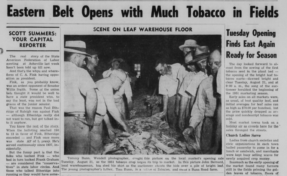 Article in The Zebulon Record titled "Eastern Belt Opens With Much Tobacco In Fields" accompanied by a photo of farmers gathering around tobacco leaves.
