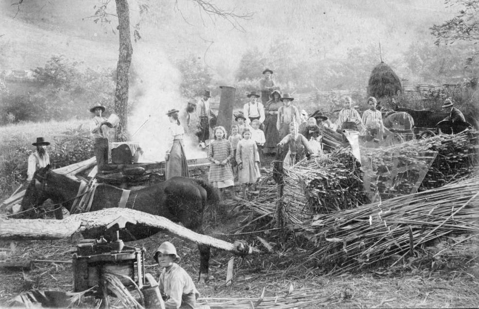 Group of men, women, and children processing cane for molasses.