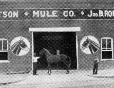 Image of Robertson Mule Stable