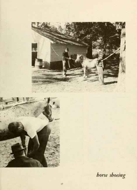 Images of horse shoeing from a Pitt Community College yearbook