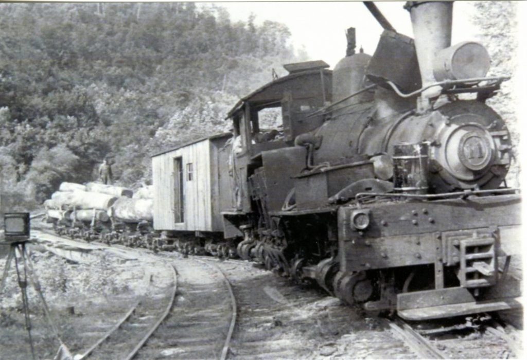 Train hauling logs 