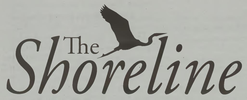 The Shoreline, from the April 2018 issue