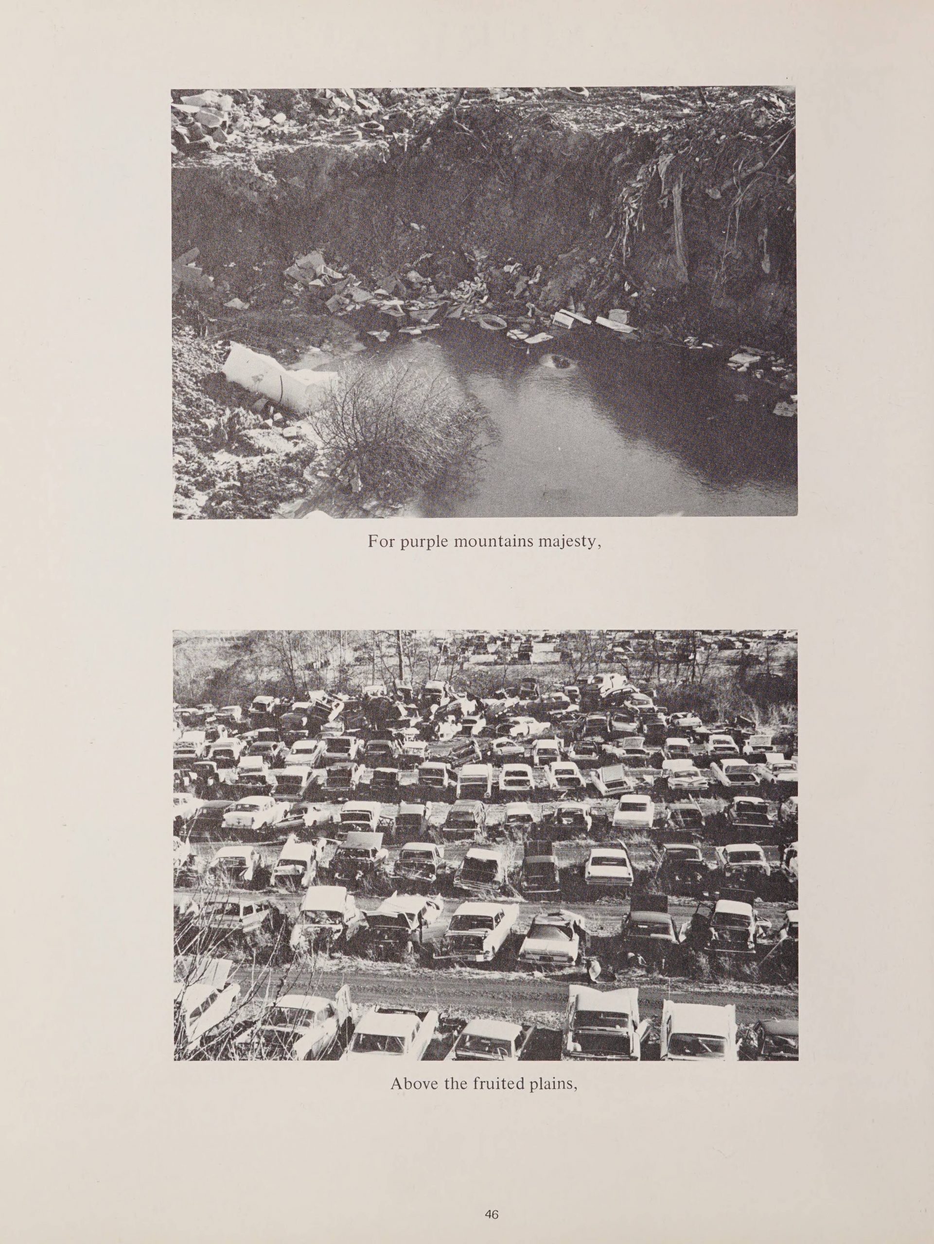 Two pictures on top of each other. The first one's caption is "For purple mountains majesty." The image itself is of a small pond with pollution. The bottom picture is of a lot with several rows of broken cars. The caption for the second photo is "Above the fruited plains." 