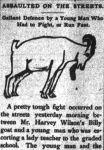 black and white newspaper article with a drawing of a horned goat with head down