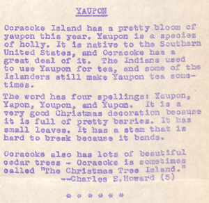 An article from the Ocracoke School News that describes the merits of yaupon holly
