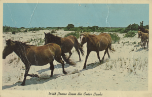 An illustration of three horses trotting over sand dunes