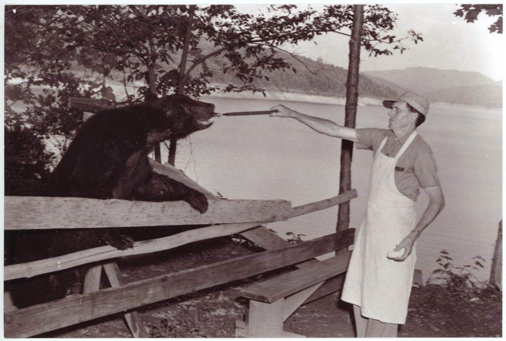 Adult feeding a bear