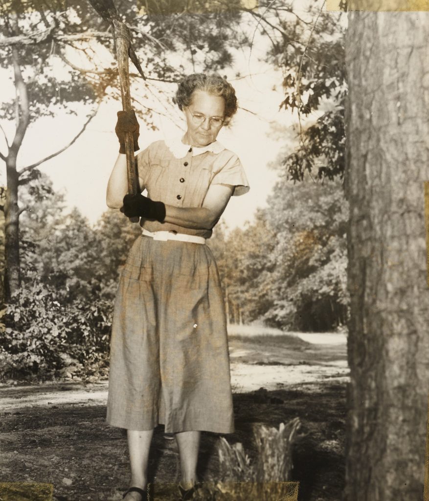 An older individual staring at a tree stump, swinging a mattock.