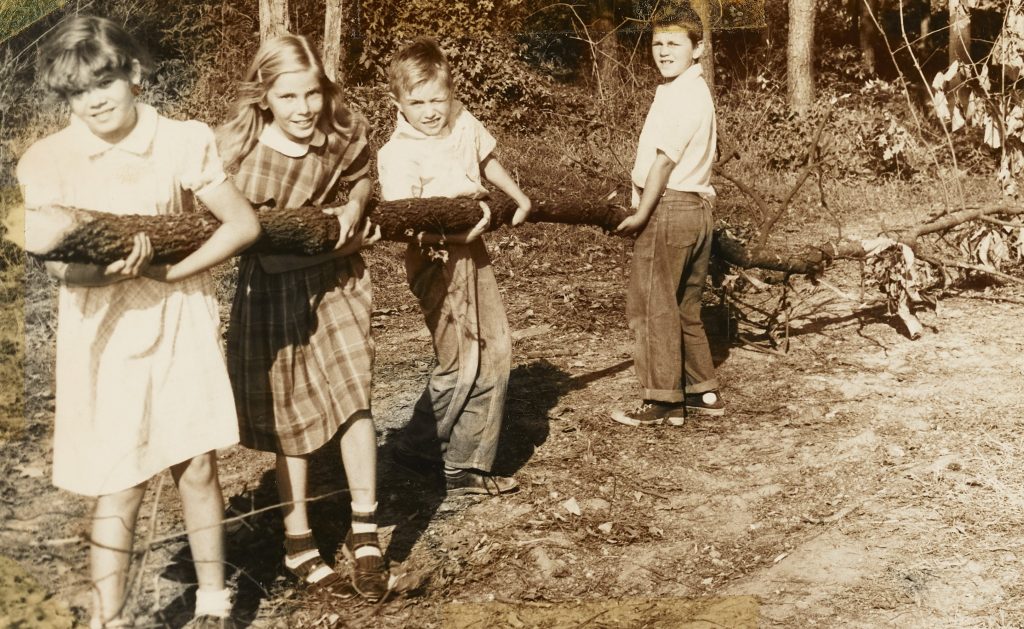 Four younger individuals pulling a downed tree.