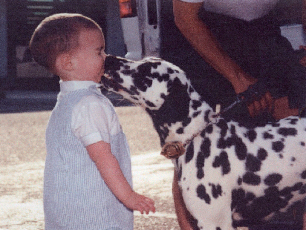 A young child is being licked on the face by a black and white spotted Dalmatian dog. 