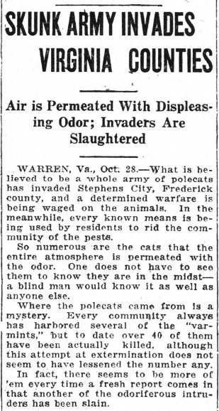 An article titled "Skunk Army Invades Virginia Counties"