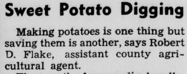 Newspaper article titled "Sweet Potato Digging." The text below it reads: "Making potatoes is one thing but saving them is another, says Robert D. Flake, assistant county agriculture agent."