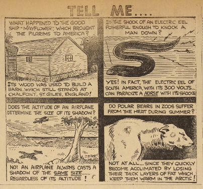 A fun fact segment from the Boone-Blowing Rock Journal, featuring tidbits on the Mayflower, electric eels, airplanes, and polar bears.