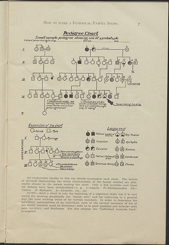 A page from Sybil Hyatt's Eugenics Field Work that includes an explanation and example of a "eugenical" family study.