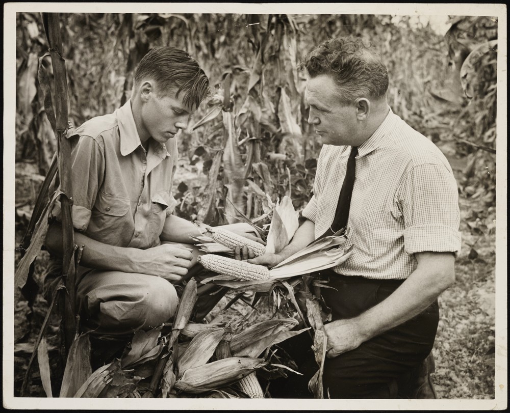 Two individuals kneeling in a field of corn. The younger individual (left) is wearing long pants and a shirt while the older individual (right) is dressed in long pants, button down shirt, and tie. Facing each other, both individuals hold one ear of corn.