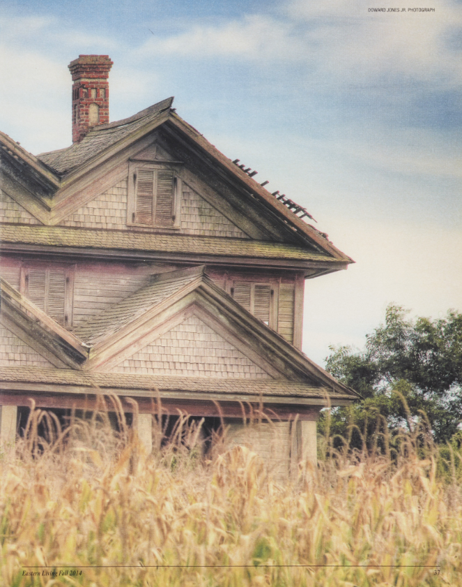 A picture from Eastern Living [Fall 2024] that showcases an old house in Hyde County. Tall stalks of wheat grass occupy the foreground of the image while a large two-story house occupies most of the left-side of the image. The house is wooden and is in a condition of slight disrepair.